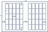 US7546 - 1 1/4'' x 2'' - 50 up label on a 11'' x 17''sheet.